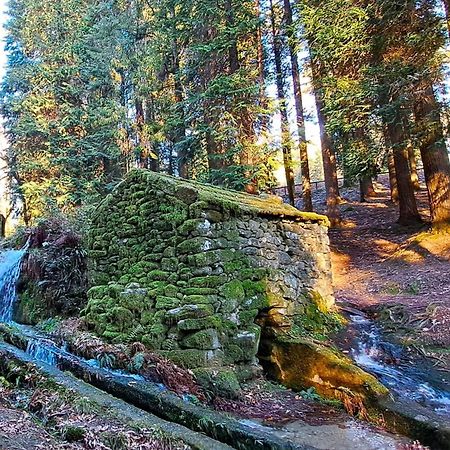 Matos Casas De Campo Кабесейраш-ді-Башту Екстер'єр фото
