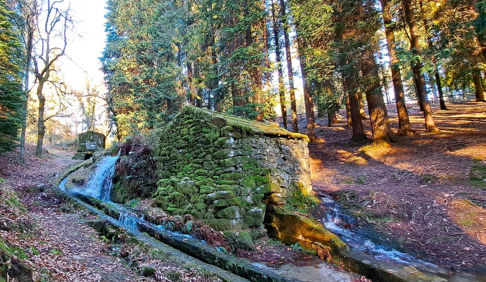 Matos Casas De Campo Кабесейраш-ді-Башту Екстер'єр фото